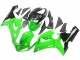 Carenado Moto Kawasaki ZX6R 2005-2006 - Verde Negro Ninja