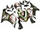 Carenado Moto Kawasaki ZX6R 2005-2006 - Negro Plata Verde Rojo K-26