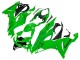 Carenado Moto Kawasaki ZX6R 2019-2022 - Verde