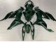 Carenado Moto Kawasaki ZX6R 2019-2022 - Verde Oscuro