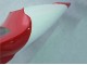 Carenado Moto Yamaha YZF 1000 R1 1998-1999 - Rojo Blanco Negro Dunlop