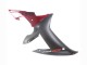 Kits Carenados Moto Yamaha YZF 1000 R1 2002-2003 - Rojo Negro Mate
