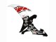 Carenado Moto Yamaha YZF 1000 R1 2002-2003 - Blanco Rojo Negro Castrol