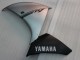 Carenados Moto Yamaha YZF 1000 R1 2009-2011 - Plata Negro