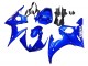 Carenado Moto Yamaha YZF R6S 2006-2009 - Azul