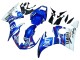 Carenado Moto Yamaha YZF 600 R6 2005 - Azul Blanco Rojo Motul Michelin Fiat