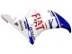 Carenado Moto Yamaha YZF 600 R6 2005 - Blanco Azul Dunlop Fiat Motul
