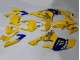 Carenado Moto Yamaha YZF 600 R6 2008-2016 - Amarillo Azul Camello Motul Michelin