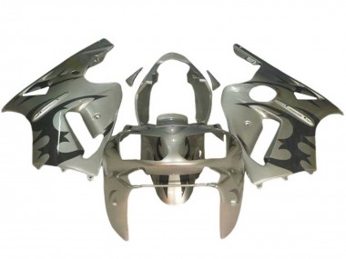 Carenado Moto Kawasaki ZX12R 2002-2006 - Plata Negro