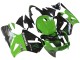Carenados Moto Kawasaki ZX12R 2002-2006 - Verde Negro Brillante Elf Touch4 Monstruo