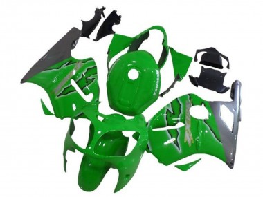 Carenado Moto Kawasaki ZX12R 2002-2006 - Verde Plata