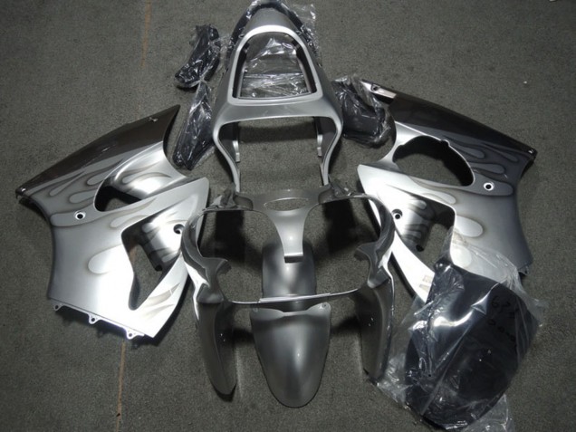 Carenado Moto Kawasaki ZX6R 2000-2002 - Plata Gris Llama